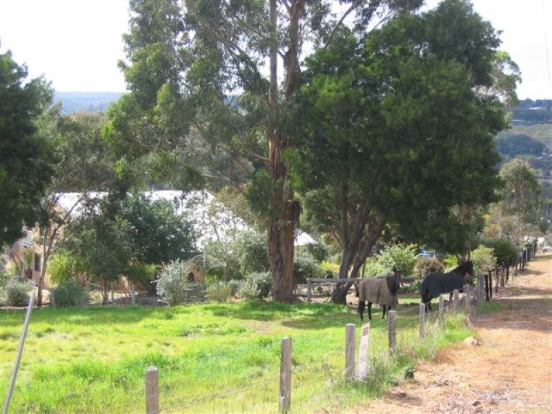 802 Blechynden Street, Bridgetown WA 6255