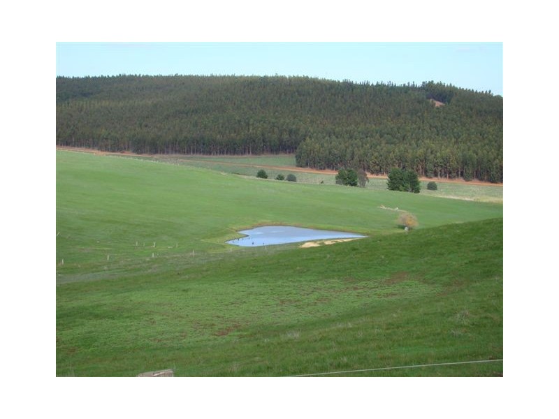 1088 Carbunup Brook Road, Bridgetown WA 6255