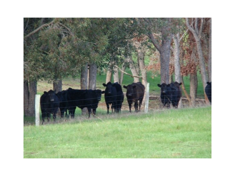 1088 Carbunup Brook Road, Bridgetown WA 6255