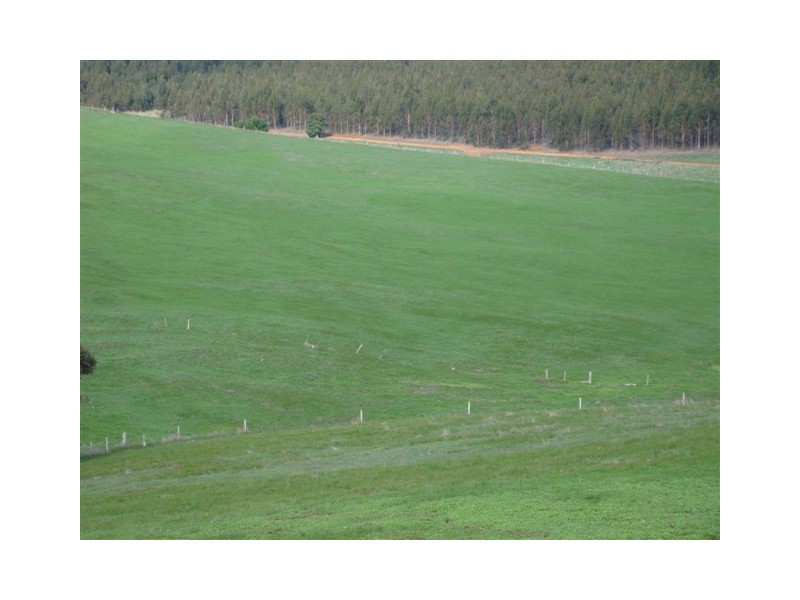 1088 Carbunup Brook Road, Bridgetown WA 6255