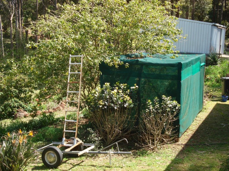 686 McLarty Street, Bridgetown WA 6255