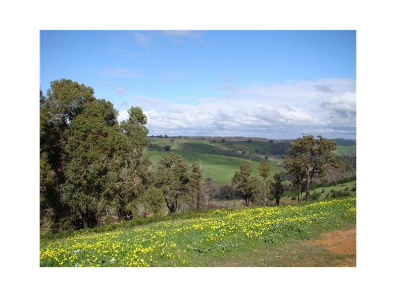 154 Manor Ridge, Bridgetown WA 6255