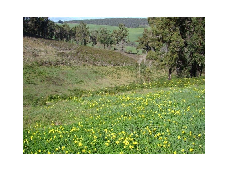 154 Manor Ridge, Bridgetown WA 6255