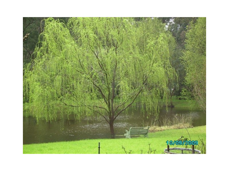 Lot 440 May Street, Bridgetown WA 6255