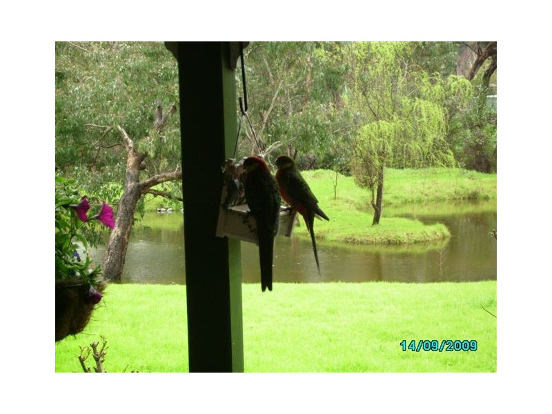 Lot 440 May Street, Bridgetown WA 6255