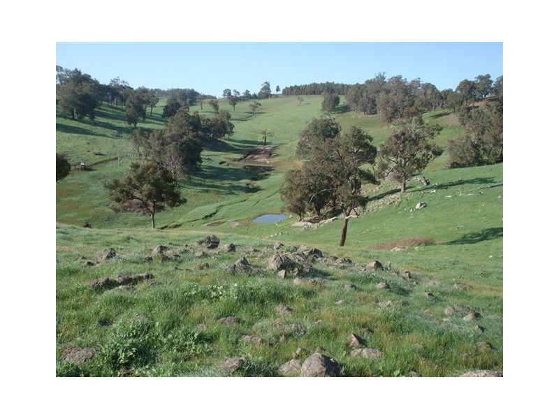 3 Tweed Road, Bridgetown WA 6255