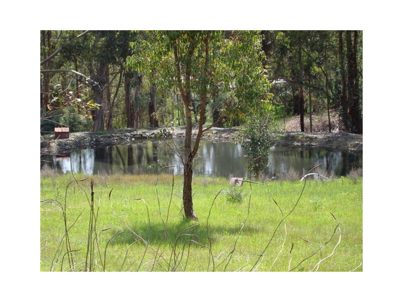 115 James St, North Greenbushes WA 6254