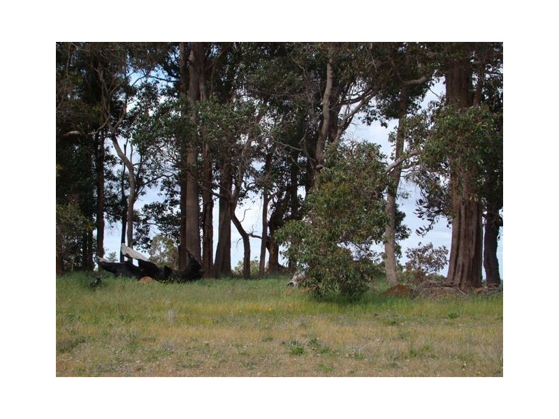 41 Balmoral Drive, Bridgetown WA 6255