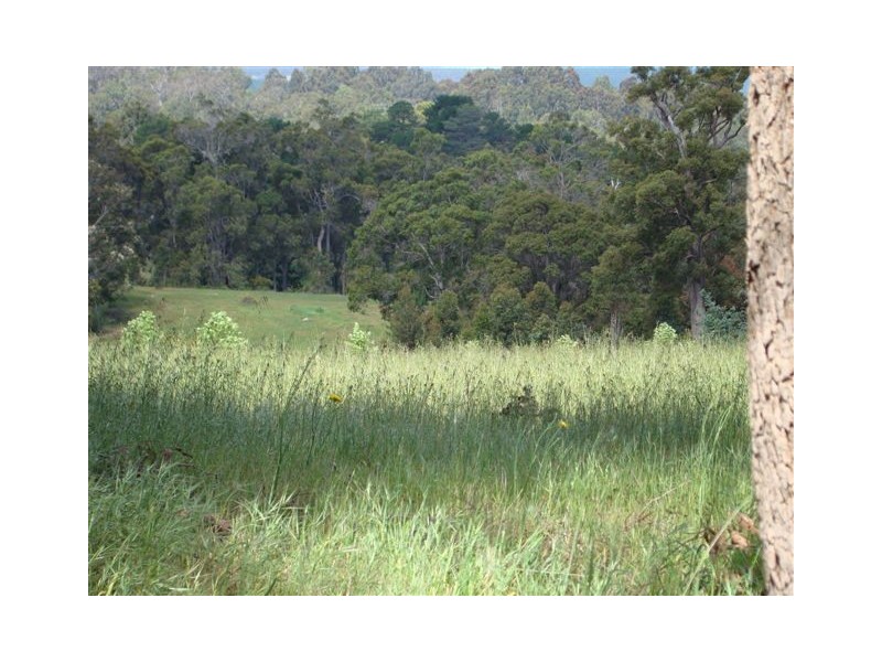 41 Balmoral Drive, Bridgetown WA 6255