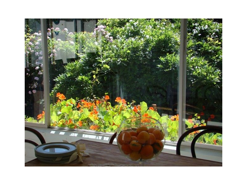 23 McAlinden Street, Bridgetown WA 6255