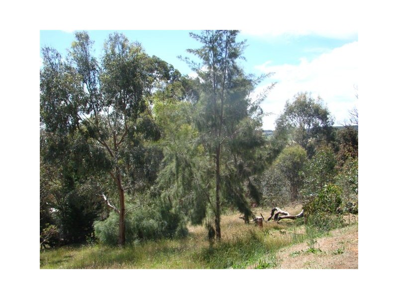 21 William Street, Bridgetown WA 6255