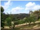 33 Allnutt St, Bridgetown WA 6255