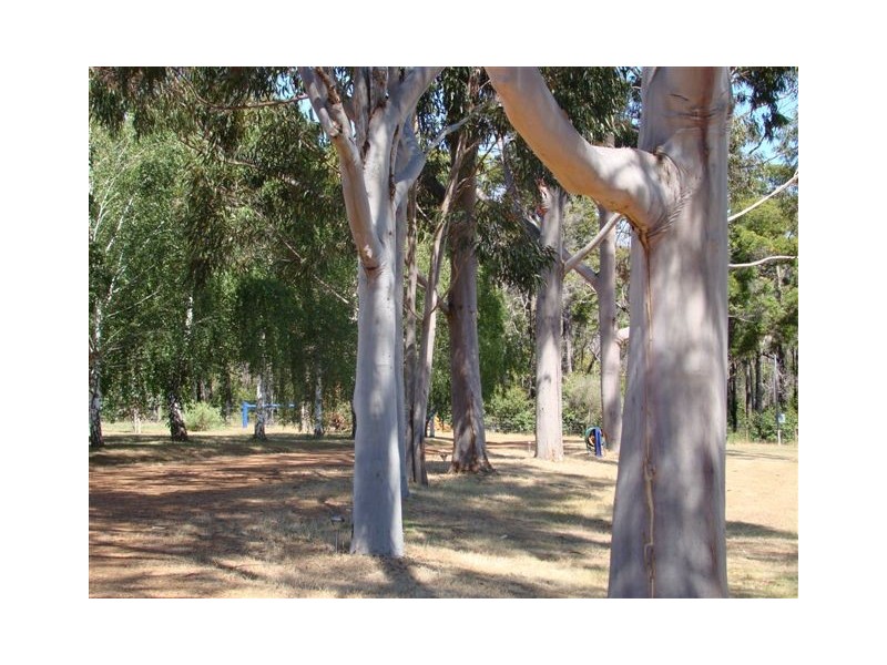 Lot 743 Peninsula Road, Bridgetown WA 6255