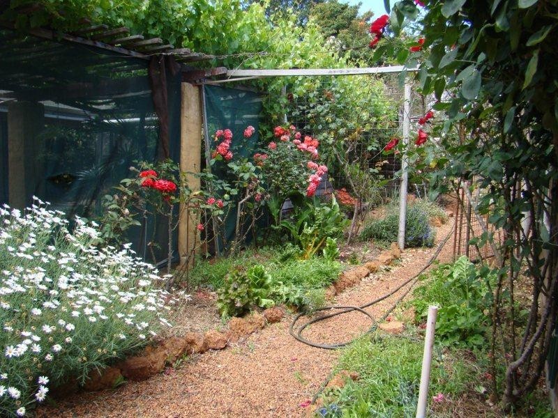 33 Blackwood Road, Greenbushes WA 6254