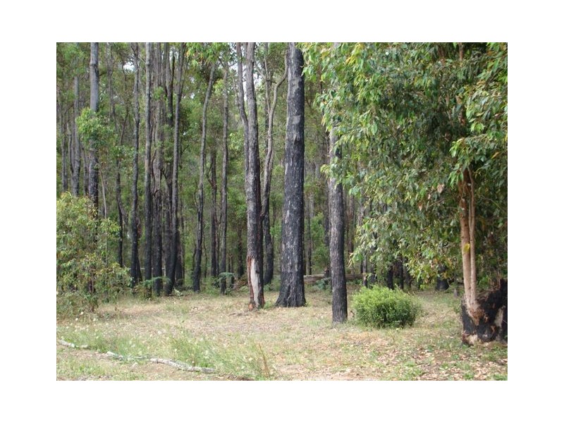 68 Williams Street, Palgarup WA 6258