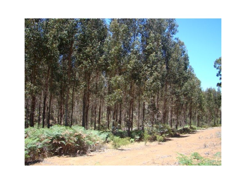 1315 Polina Road, Bridgetown WA 6255