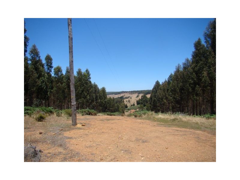 1315 Polina Road, Bridgetown WA 6255