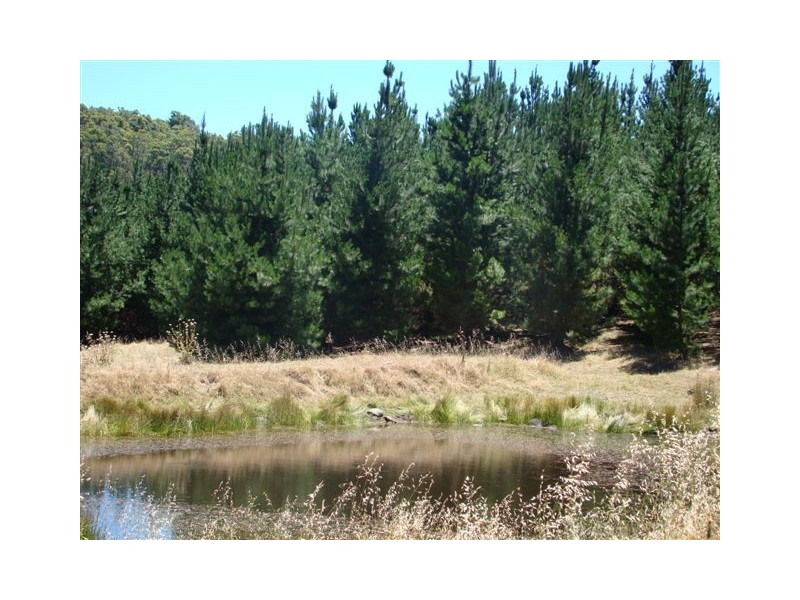 1315 Polina Road, Bridgetown WA 6255