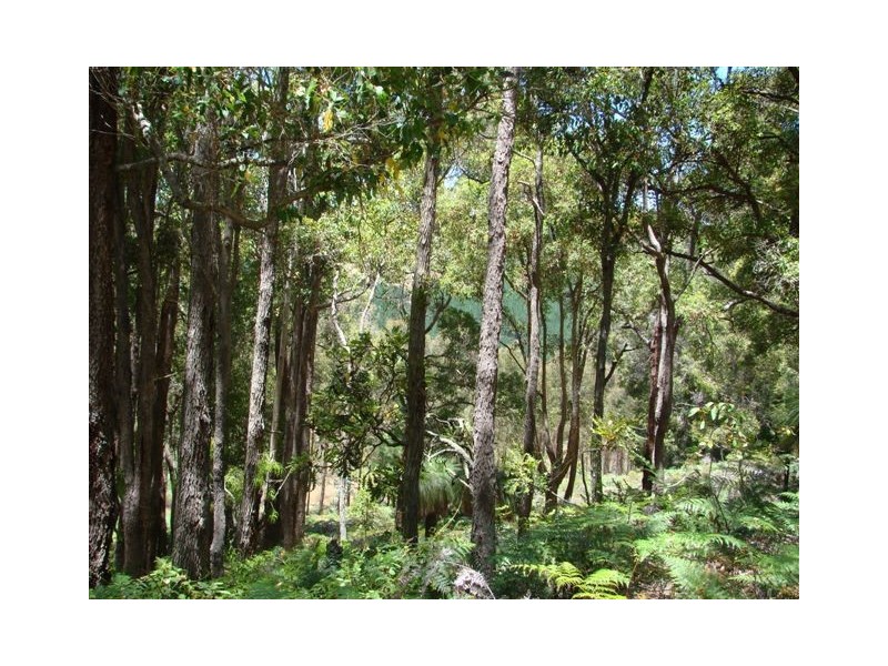 1315 Polina Road, Bridgetown WA 6255