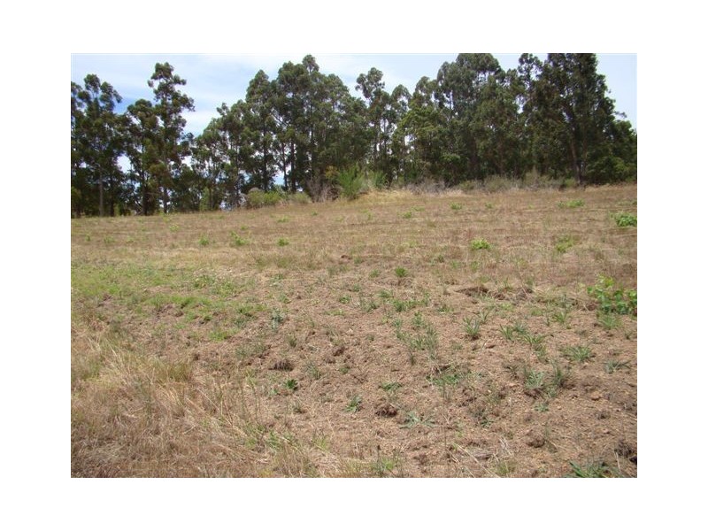 18 Nelson Street, Bridgetown WA 6255