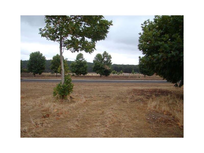 33 Highlands Ave, Bridgetown WA 6255