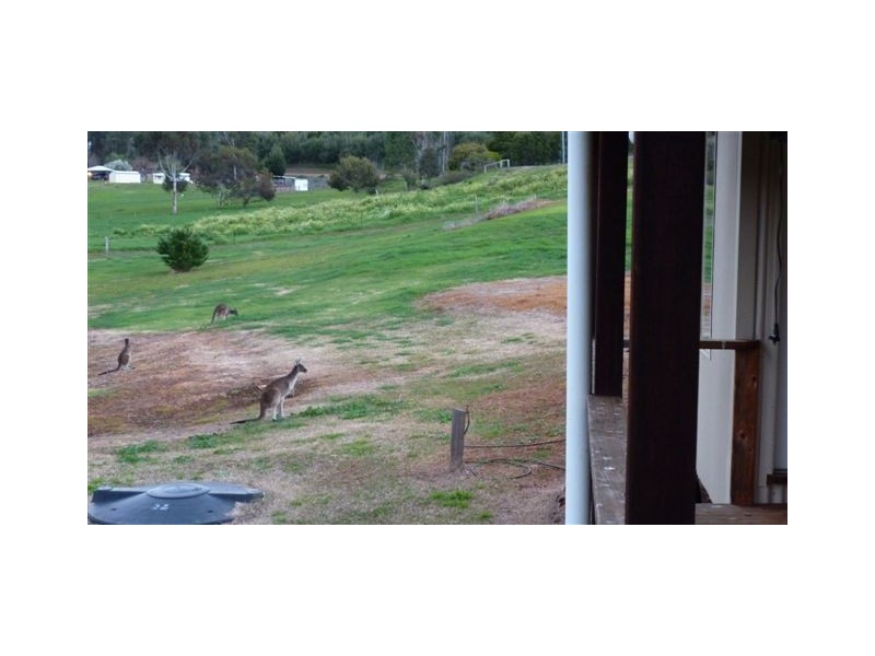 32 Reverends Rambles, Bridgetown WA 6255