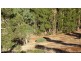 32 Reverends Rambles, Bridgetown WA 6255
