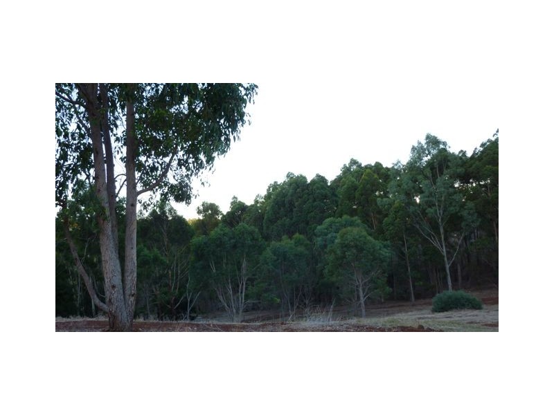 32 Reverends Rambles, Bridgetown WA 6255