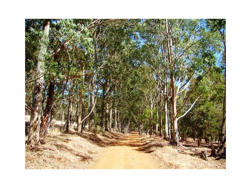 1 Lowe Road, Bridgetown WA 6255