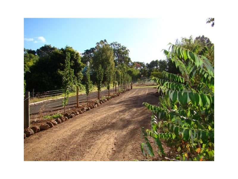 18 Campbell St, Bridgetown WA 6255