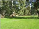 114 James St, Greenbushes WA 6254