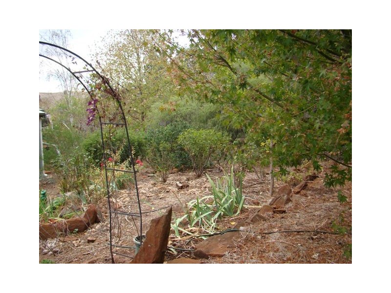 598 Shephard Street, Bridgetown WA 6255