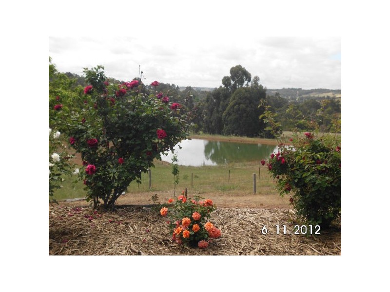 728 Maslin St, Bridgetown WA 6255