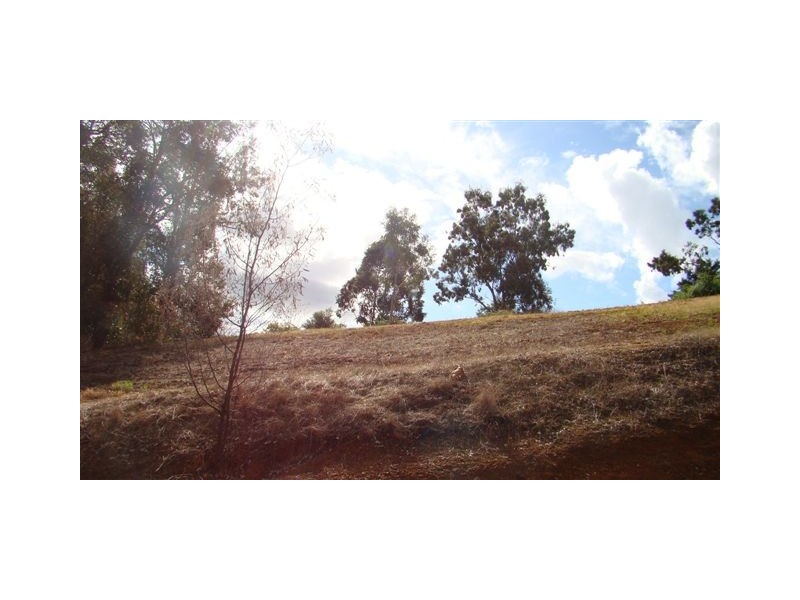 76 Spencer Street, Bridgetown WA 6255