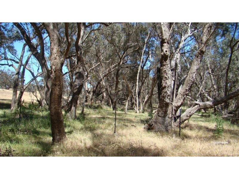 6128 Doust Street, Boyup Brook WA 6244