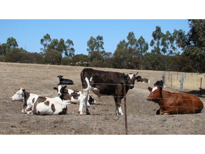 6128 Doust Street, Boyup Brook WA 6244