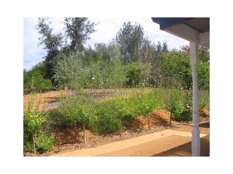 Lot 36 Ecclesiastic Close, Bridgetown WA 6255