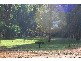 Lot 10 Balingup Nannup Road, Nannup WA 6275