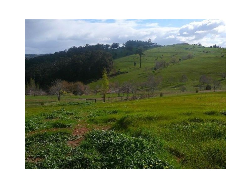 LOT/137 Golden Ash Rise, Bridgetown WA 6255