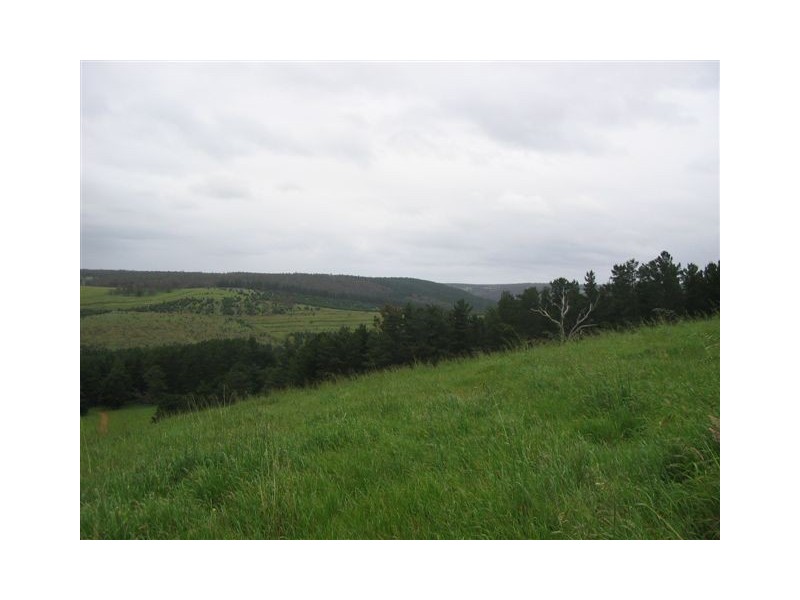 LOT129 Golden Ash Rise, Bridgetown WA 6255