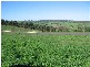 Lot/80 Robina Way, Bridgetown WA 6255