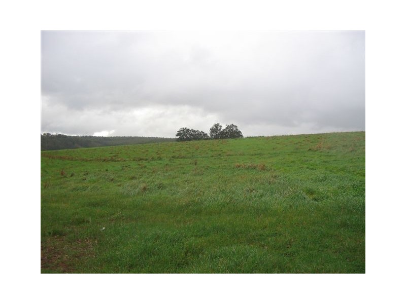 LOT 54 Sunridge Drive, Bridgetown WA 6255