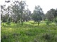 LOT 39 Winesap View, Bridgetown WA 6255