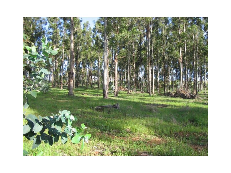 LOT 39 Winesap View, Bridgetown WA 6255