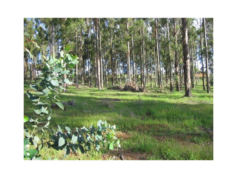 LOT 39 Winesap View, Bridgetown WA 6255
