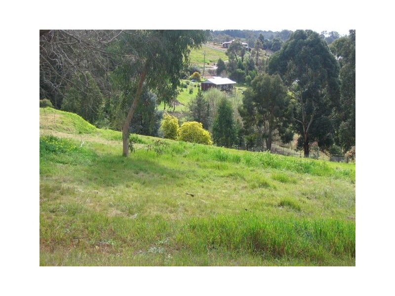 Lot 802 Blechynden Street, Bridgetown WA 6255