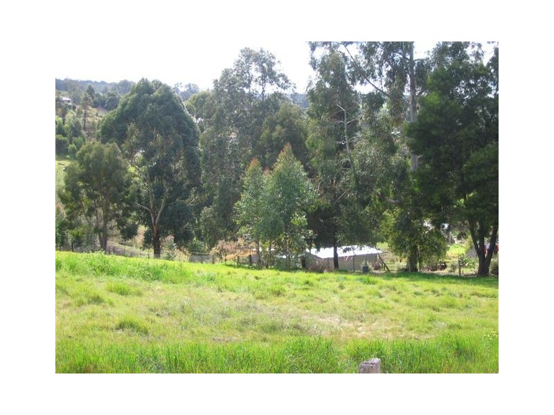 Lot 802 Blechynden Street, Bridgetown WA 6255