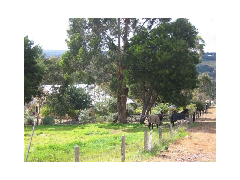 Lot 802 Blechynden Street, Bridgetown WA 6255