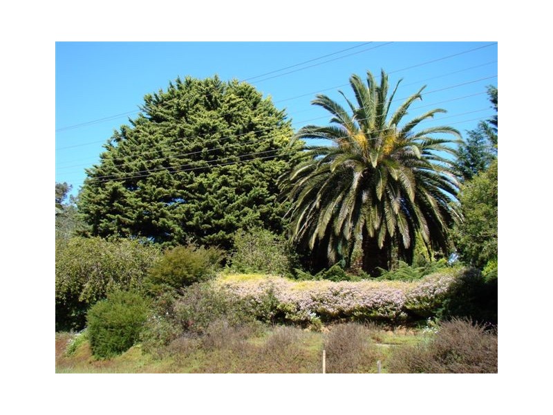 255 Hampton St, Bridgetown WA 6255