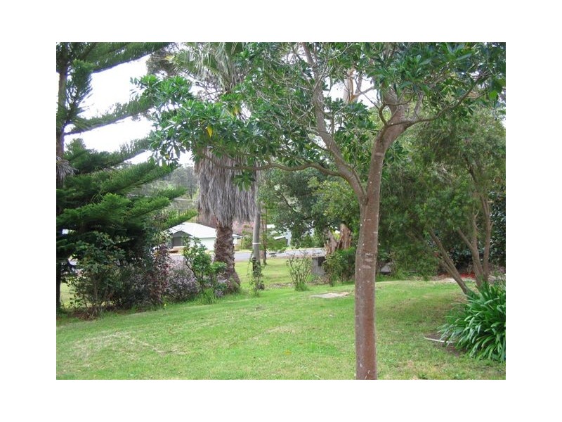 50 Padbury Road, Bridgetown WA 6255